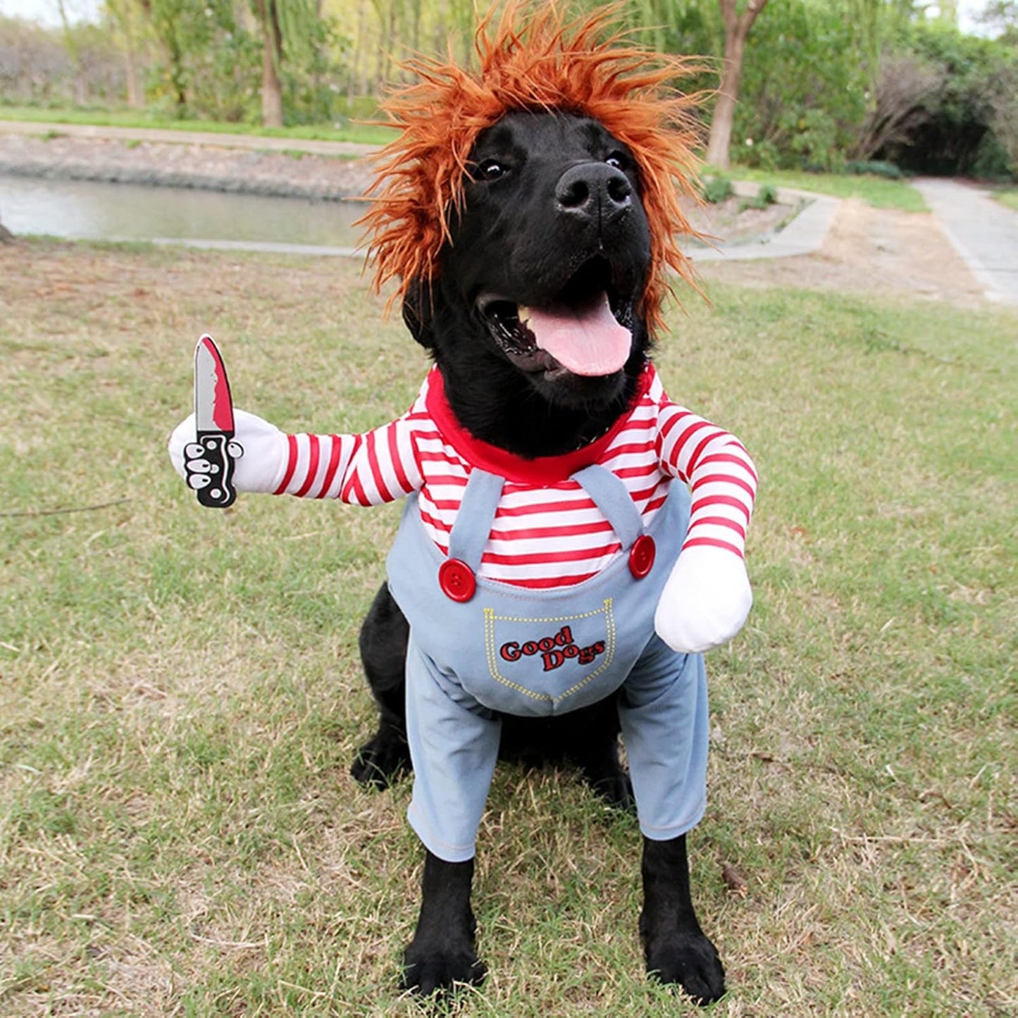 Disfraz Mascotas Chucky Halloween (Perros-Gatos)